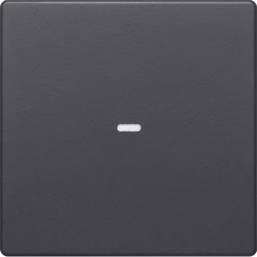 80960226 buton modülü için 1'li kapak, şeffaf cam, Q.1/Q.3, ant. kadifemsi, lake