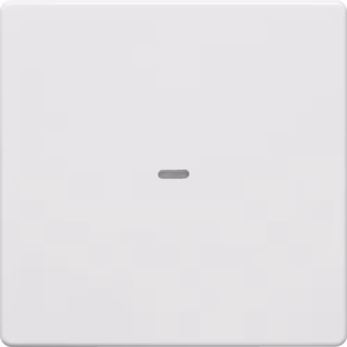 80960229 1'li buton modülü kapağı, şeffaf cam, Q.1/Q.3, beyaz kadifemsi