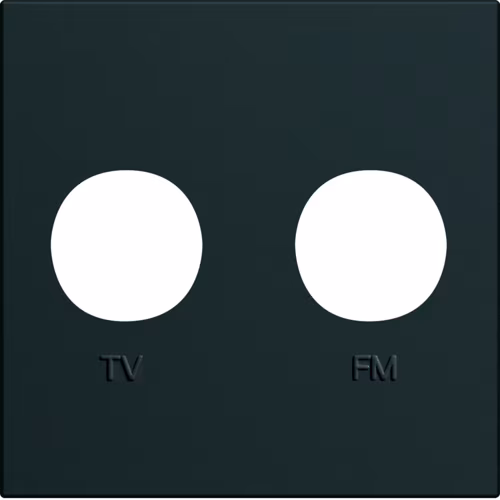 WXD253N TV Ve Priz 2 Modül, Gece